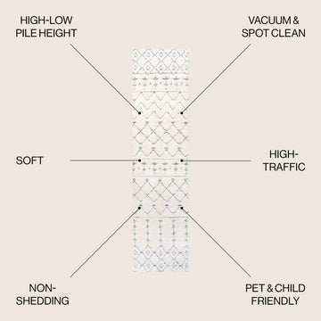 Pia Moroccan Trellis Plush Carved Area Rug